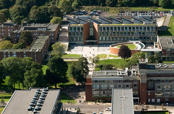 University of Sussex
